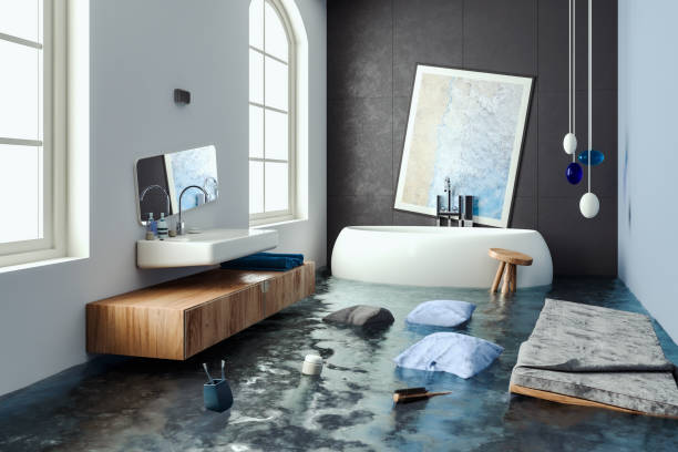 Best Water damage cleanup near me  in Oswego, KS