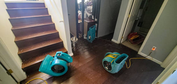 Best Water damage mitigation services  in Oswego, KS