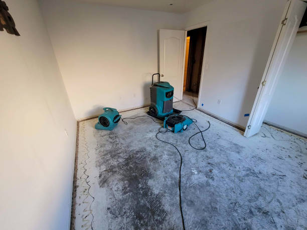 Best Flood restoration services  in Oswego, KS