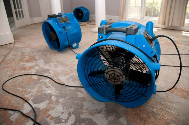 Best Sewage cleanup and water damage restoration  in Oswego, KS