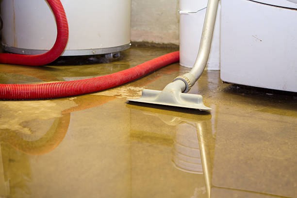 Best Professional water damage repair  in Oswego, KS