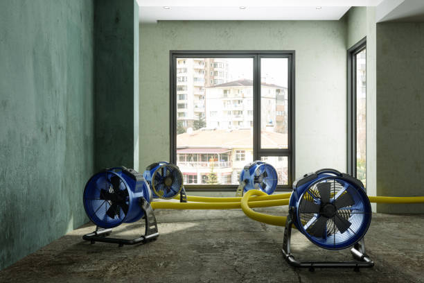 Best Water damage restoration near me  in Oswego, KS